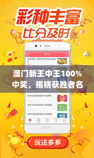 新澳门王中王王中王免费,新澳门王中王王中王免费——探索与揭秘