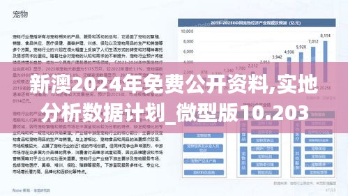 2025新澳今晚资料66期,探索未来之门，新澳今晚资料第66期展望与深度解析（2025年视角）