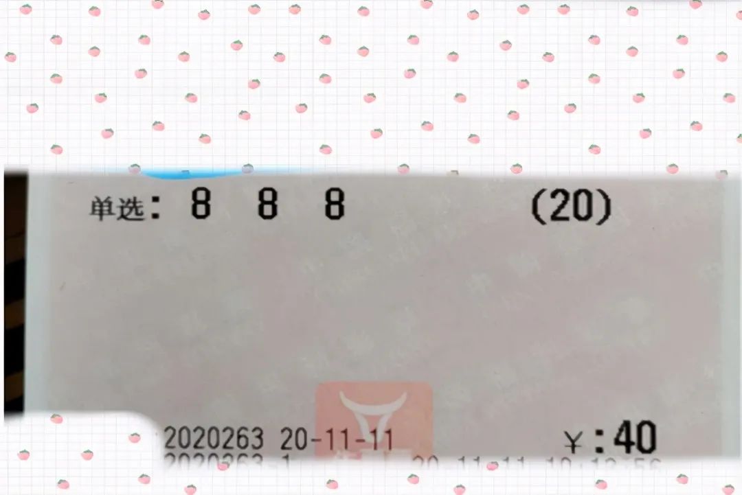 澳门今晚开奖结果2023年,澳门今晚开奖结果2023年，探索彩票背后的故事与期待