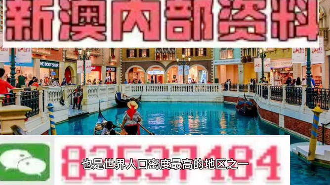 2025新澳门王中王正版,探索新澳门王中王正版，未来的机遇与挑战