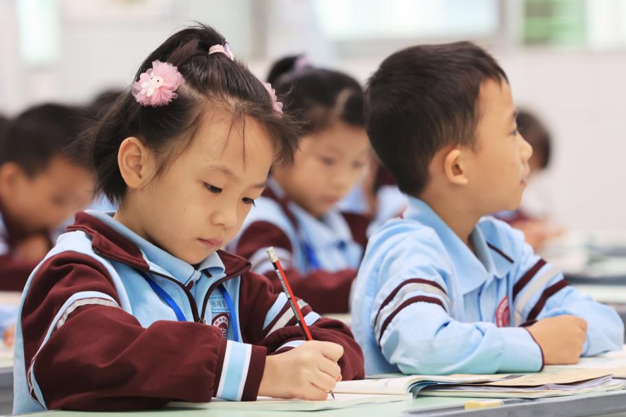 2025年正版资料免费大全下载,探索未来，2025正版资料免费大全下载的新时代来临