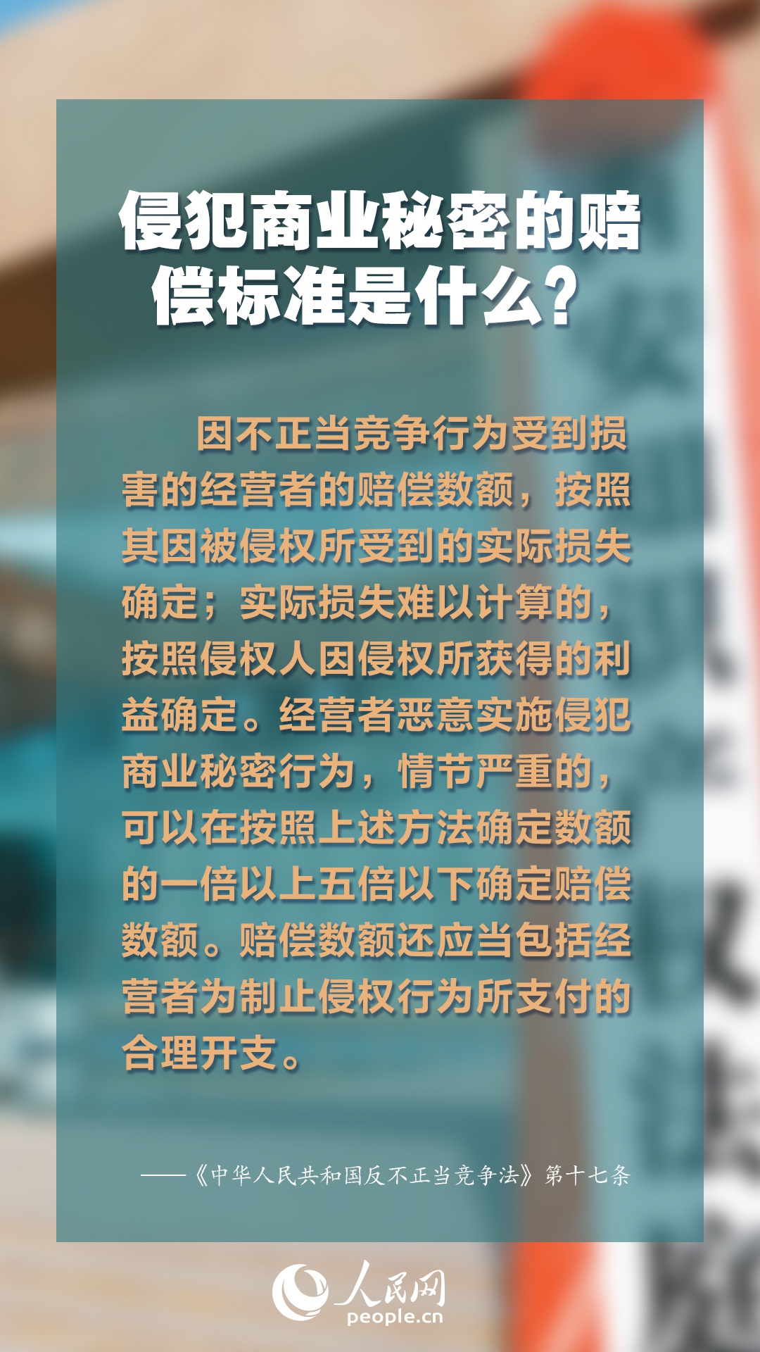 2025年正版资料免费大全一肖 含义,探索未来，理解2025年正版资料免费大全一肖的含义