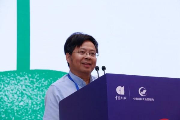 新奥今天最新资料晚上出,新奥今天最新资料晚上出，深度解析行业趋势与发展前景