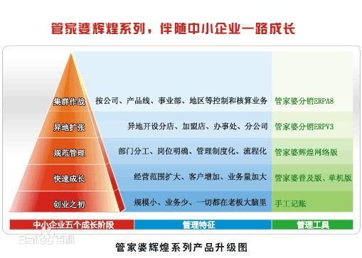 管家婆2025正版资料大全,探索管家婆2025正版资料大全，理解软件价值与应用前景