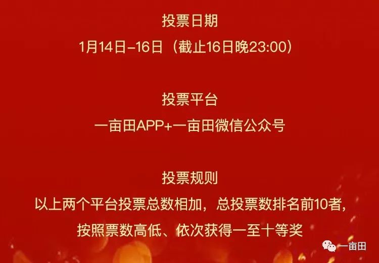 新奥天天彩正版免费全年资料,新奥天天彩正版免费全年资料，探索与体验