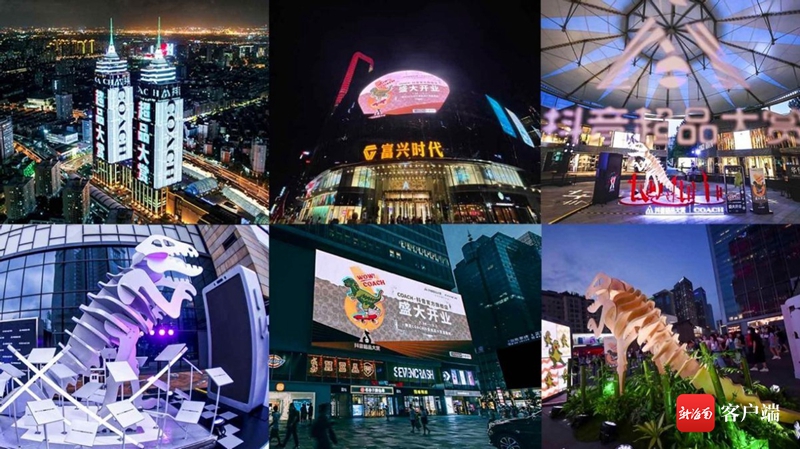 2025今晚香港开特马,香港特马盛宴，探寻未来的繁荣与活力