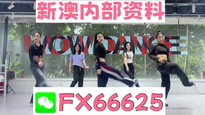 新澳精准资料大全,新澳精准资料大全，探索与解析