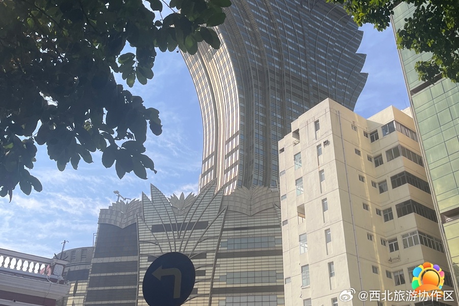 2025年新澳门天天开好彩,探索未来，澳门新气象与天天开好彩的愿景