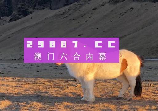 新澳门今晚平特一肖,新澳门今晚平特一肖，探索与期待
