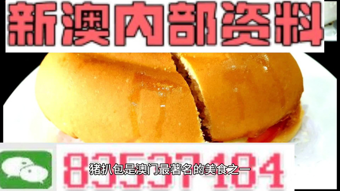 新澳内部高级资料,新澳内部高级资料详解