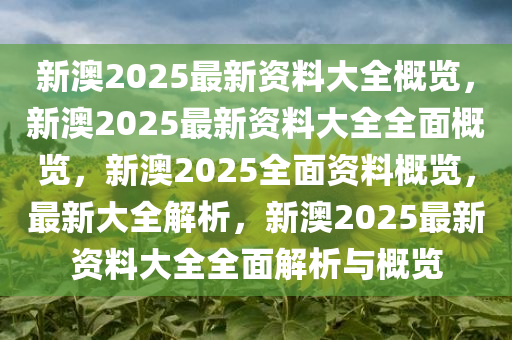 新澳姿料大全正版资料2023,新澳姿料大全正版资料2023年概览