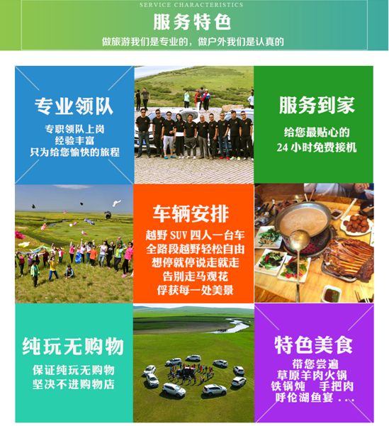 新奥马免费资料大全,新奥马免费资料大全，深度探索与理解