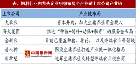 2025年全年资料,关于未来展望，探索2025年全年资料深度解析