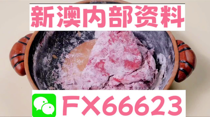 新澳门内部一码精准公开网站,新澳门内部一码精准公开网站——探索真实性与影响