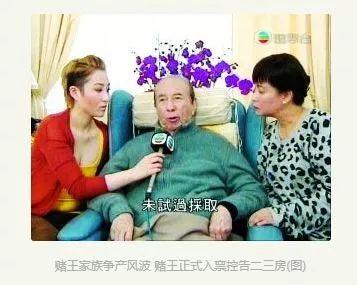 澳门今晚精准开四不像,澳门今晚精准开四不像，探索运气与策略的平衡点
