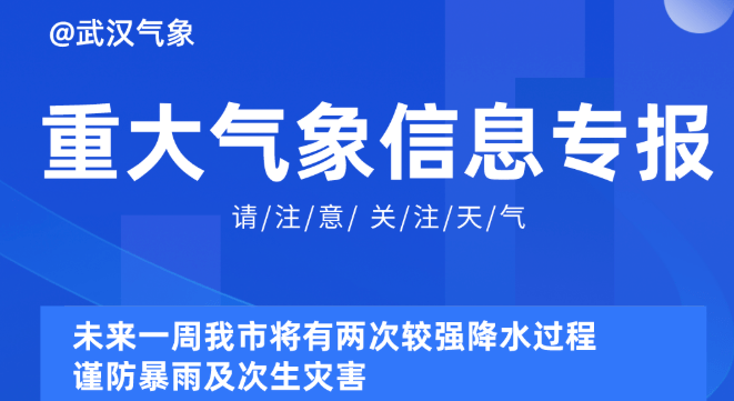 2025新奥资料免费精准资料,探索未来，免费获取精准新奥资料的指南（至2025年）