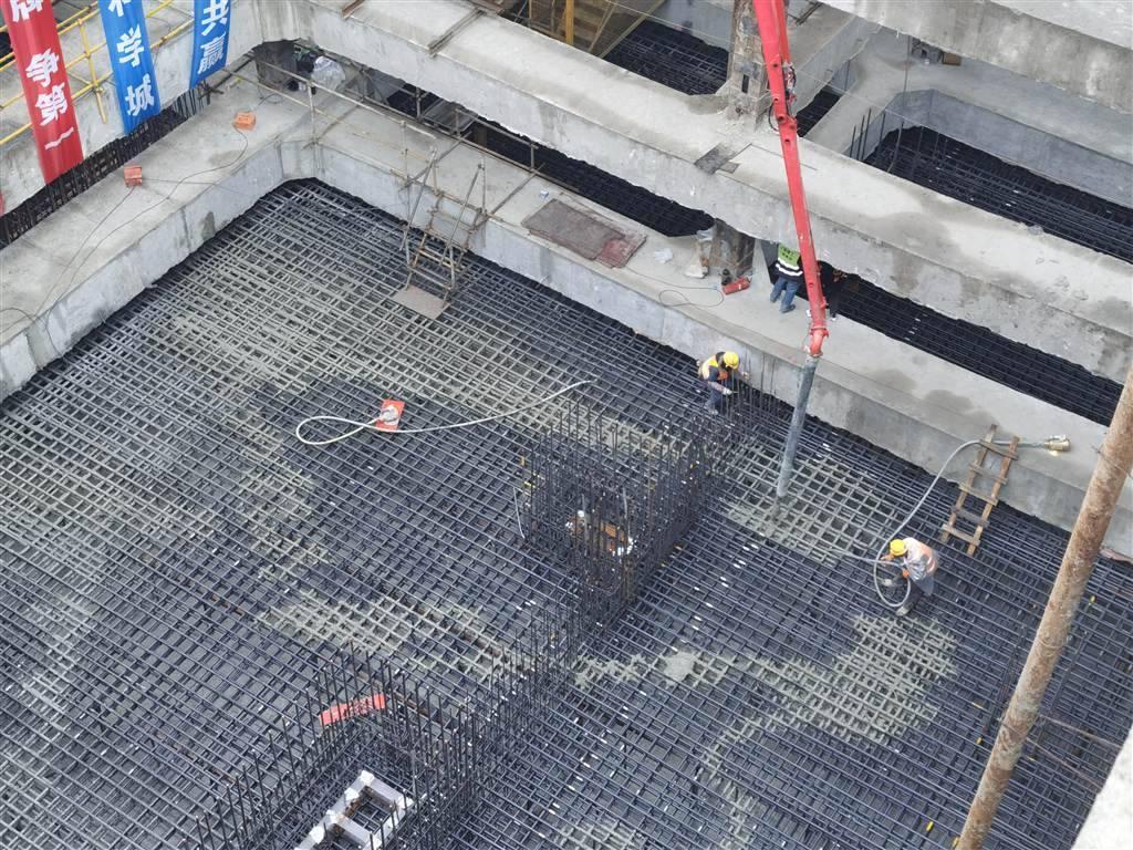 2025精准资料免费大全,探索未来之门，2025精准资料免费大全