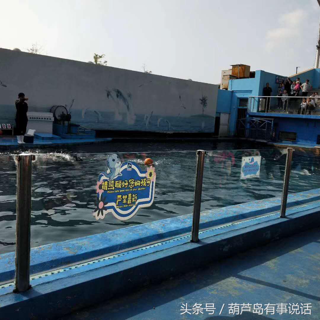 新澳天天彩正版免费资料观看,新澳天天彩正版免费资料观看，探索与解析