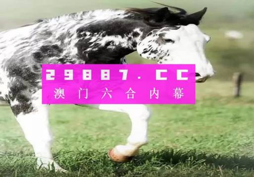大三巴一肖一码中,大三巴一肖一码中的奥秘与传奇