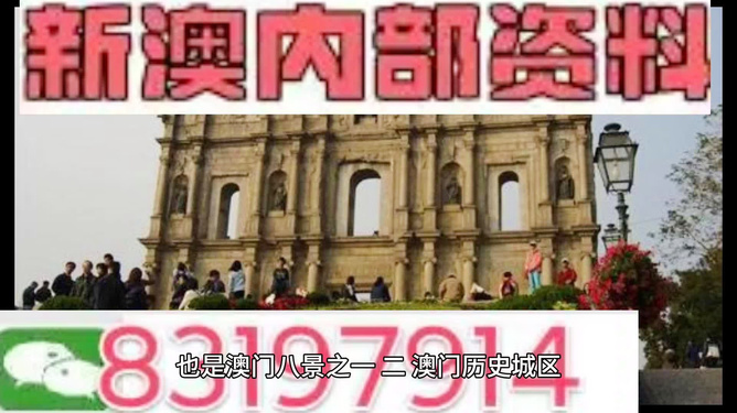 新澳门出今晚最准确一肖,新澳门出今晚最准确一肖——探寻生肖预测的魅力与真相