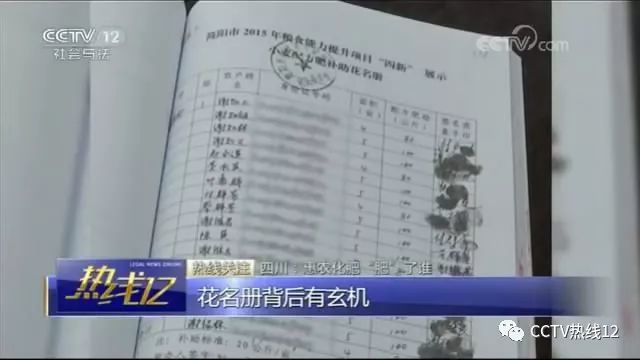 993994www跑狗玄机,揭秘跑狗玄机与993994背后的故事