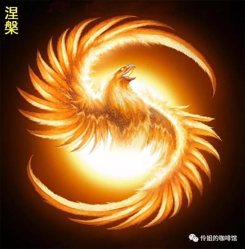 澳冂凤凰资料大全,澳冂凤凰资料大全，深度解读凤凰卫视在澳洲的影响力与特色