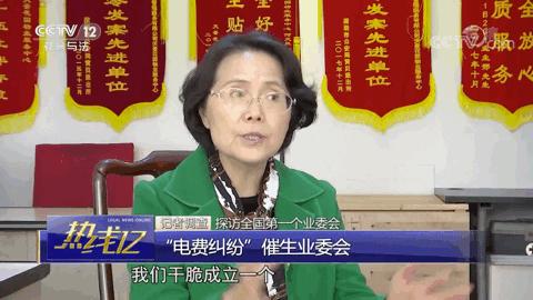 今晚正版四不像一肖图图片,今晚正版四不像一肖图图片，探索神秘预测世界