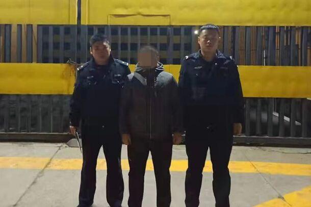 新奥彩天天开奖资料免费查询,新奥彩天天开奖资料免费查询，探索彩票世界的便捷之门