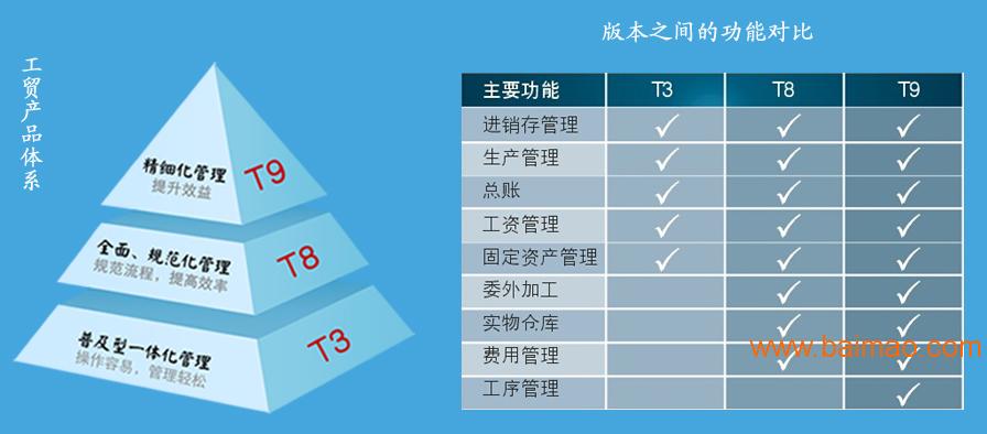 管家婆软件多少钱一年,管家婆软件的价格及其年度费用分析
