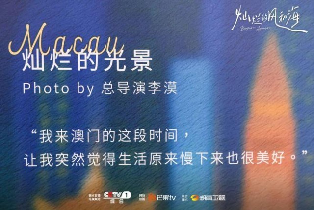 澳门内部资料和公开资料,澳门内部资料与公开资料的交织，探索与解读