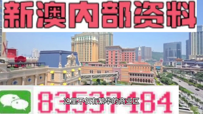 新奥彩正版免费资料,新奥彩正版免费资料，探索与解析