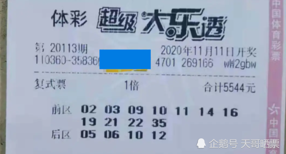 今晚必中一码一肖澳门准确9995,今晚必中一码一肖，澳门准确9995预测揭秘