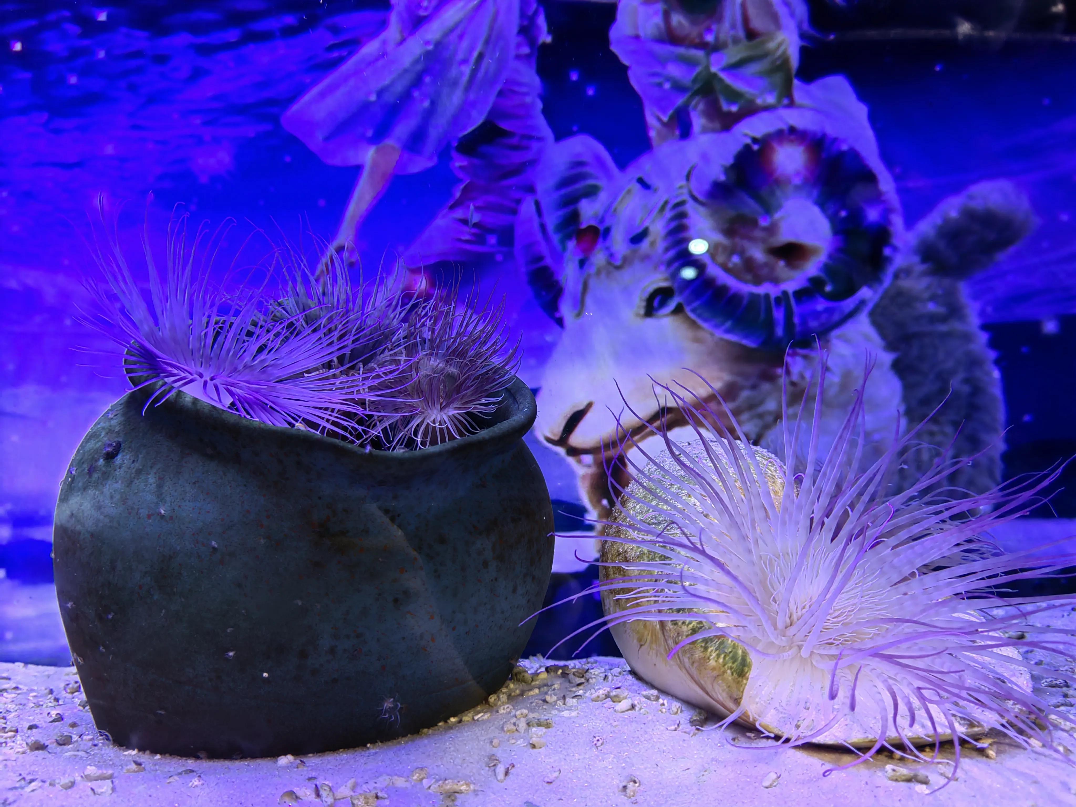 全年资料免费大全,全年资料免费大全，探索知识的海洋，尽享免费资源盛宴