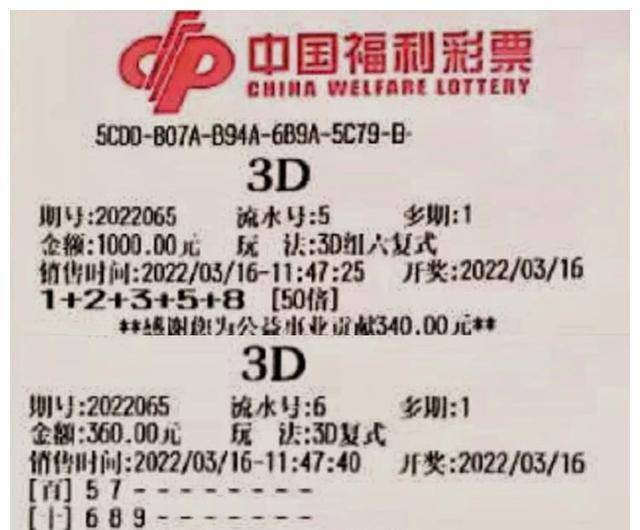 天下彩与天空彩票资料,天下彩与天空彩票资料，探索彩票世界的奥秘