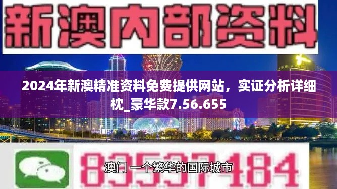 新澳24年正版资料,新澳24年正版资料，深度解析与影响探讨