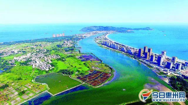 香港免费公开资料大全,香港免费公开资料大全，探索信息的海洋