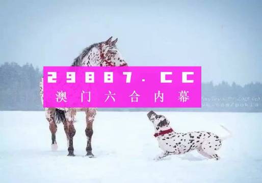 澳门一肖一码100,澳门一肖一码，揭秘背后的故事与探索其深层价值